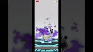 100% shadow wartortle ➡️ 100% shadow blastoise #pokemongo #pokemongohundo