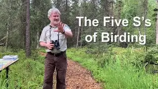 Getting to know Alaska's Birds