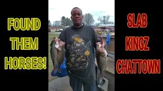 King Slab Found Horse Crappie!