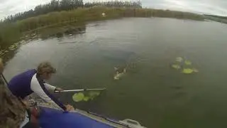 Nice Tigerfish caught in Komati dam