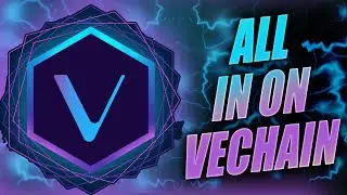 VeChain VET News: BNB Chain HACKED Quit Using Token Bridges! VET Partner Announces Token Sale