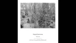 illogical harmonies (Johnny Chang & Mike Majkowski)