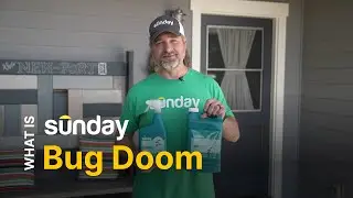 What is Sunday Bug Doom