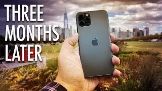 iPhone 11 Review: 3 Months Later