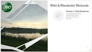 Wild and Wonderful Wetlands - Part 1