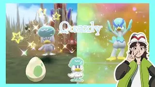 👉 I Hatched a SHINY Quaxly From an Egg in Pok&eacute;mon Scarlet! ✨