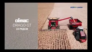 DRAGO GT 18 Row corn head 50cm row distance on CASE IH Combine