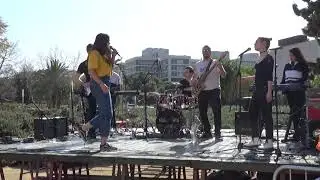 The Beigeness. Hidroponih. Pop rock amb la Magic Line. 2019