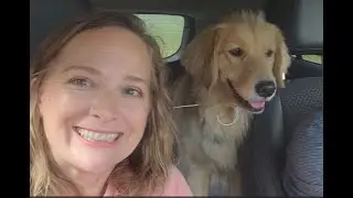 Long Trip Made Short | Road Trip From FL to MN | A Before and After As Well