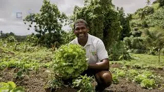 I Am Agriculture - Kirk Bennet - St. Vincent and the Grenadines