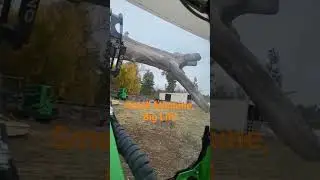Avant Loader Lifting a Huge Log! #landscaping #treecare #rentalsolution #getworkdone