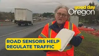 Behind the Wheel: Road sensors
