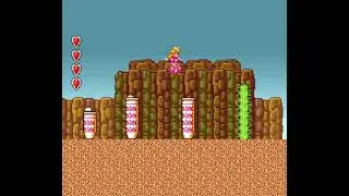Super Mario Bros 2 (SNES) Perfect Gameplay