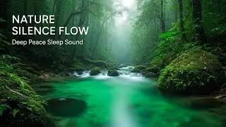 Calming Forest Ambience with Gentle Water Flow for Study Meditation Inner Peace and Stress Relief