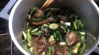  Delicious Spicy Squirrel Stew, Nqaij Nas Ncu