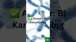 🧬 