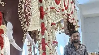 #templedecor#elephant #decoration#flowerarrangement#lifeisbutadream#flowers#rose#music#song#wedding