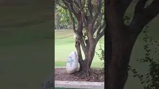 Arriving at the oldest golf course in the Philippines