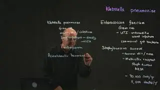 ESKAPE Pathogens