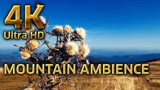A captivating landscape. The voice of nature. Ambience and ASMR.