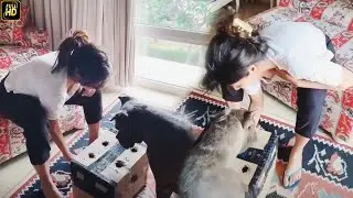 Aao Raja | Gabbar is Back. Chitrangada Singh spends quality time with her pet at home