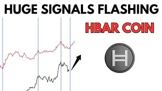 HBAR: Massive Signals for HEDERA Flashing 