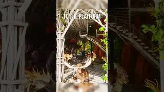 How To Build an Elven Treehouse Base in ARK: Survival Ascended!
