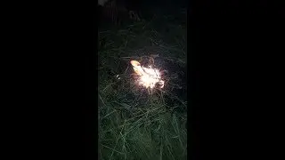 VDO 4ever - Making fire at the field to make food with fish