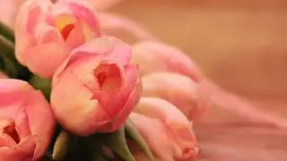 Eliminate your subconscious fears  Regain serenity  Elimina le tue paure inconsce  Ritrova la sereni