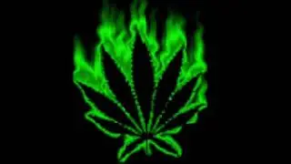 Ziplok Studio - Ziplok - High Music - Marijuana Records