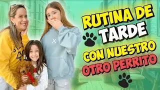 RUTINA DE TARDE DESPUÉS DEL COLEGIO 🐶 RECOGEMOS A NUESTRO NUEVO PERRITO BEBÉ 🍼