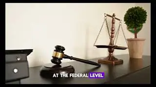 Historical background Of The Nigerian Legal System (John Terver)