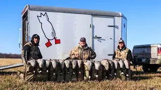 North Dakota 3 Man Goose Limit!