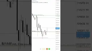 MSNR STRATEGY