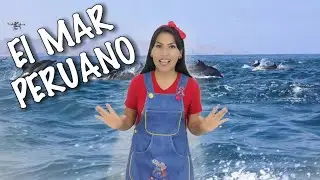 EL MAR PERUANO para niños de Inicial / Clases Virtuales