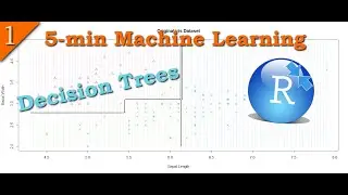 Decision Tree in R | Decision Boundary | Plot Decision Boundary