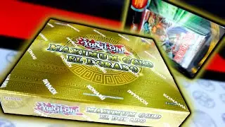 THE GOLD BOX! │ Opening the MAXIMUM GOLD El Dorado Box! │ #Yugioh