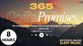 365 PROMISES FROM GOD | BIBLE VERSES FOR PEACE, HOPE & REST | WITH SOAKING MUSIC | 8 HOURS