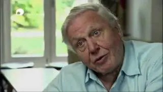 Sir David Attenborough - Plastic Oceans