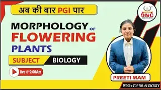 MORPHOLOGY OF FLOWERING PLANTS/PGI-ROHTAK/PGI-CHANDIGARH----MOST IMPORTANT CLASS