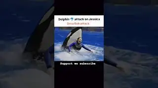 Jessica pr Oscar dolphin 🐬 ka attack 😭 #wgu #wgitachi #oculus #oscar #jessica #dolphin #gmtng #subsc