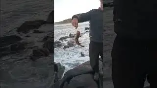 rockcod on squid #fishing #fyp#trending #shorts#adrenalinfishing