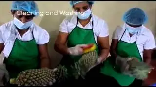Saaraketha behind the scenes - our packhouse operation!