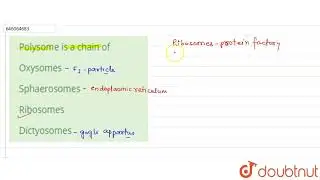 Polysome is a chain of  | 12 | STRUCTURE OF THE CELL | BIOLOGY | DINESH PUBLICATION ENGLISH | Do...