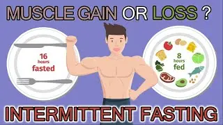 INTERMITTENT FASTING : SHOULD YOU DO IT? | BENEFITS | SCIENCE BASED| HEALTH INSIDERS