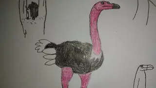 Sound Effects-North African Ostrich