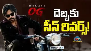 దెబ్బకు సీన్ రివర్స్! OG Collection | Pawan Kalyan | Sujeeth || NTVENT