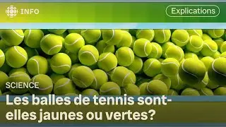 Pourquoi la perception des couleurs ne fait pas l'unanimité? | Découverte