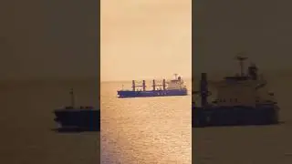 Guess the type of Ship and tonnage ????