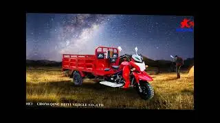 Origin design high horsepower hanicap heavy capacity 1000kg cargo tricycle three wheel motorcycles